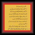 Amam Gazali 01 * 22.03.2008 * 387 x 470 * (41KB)